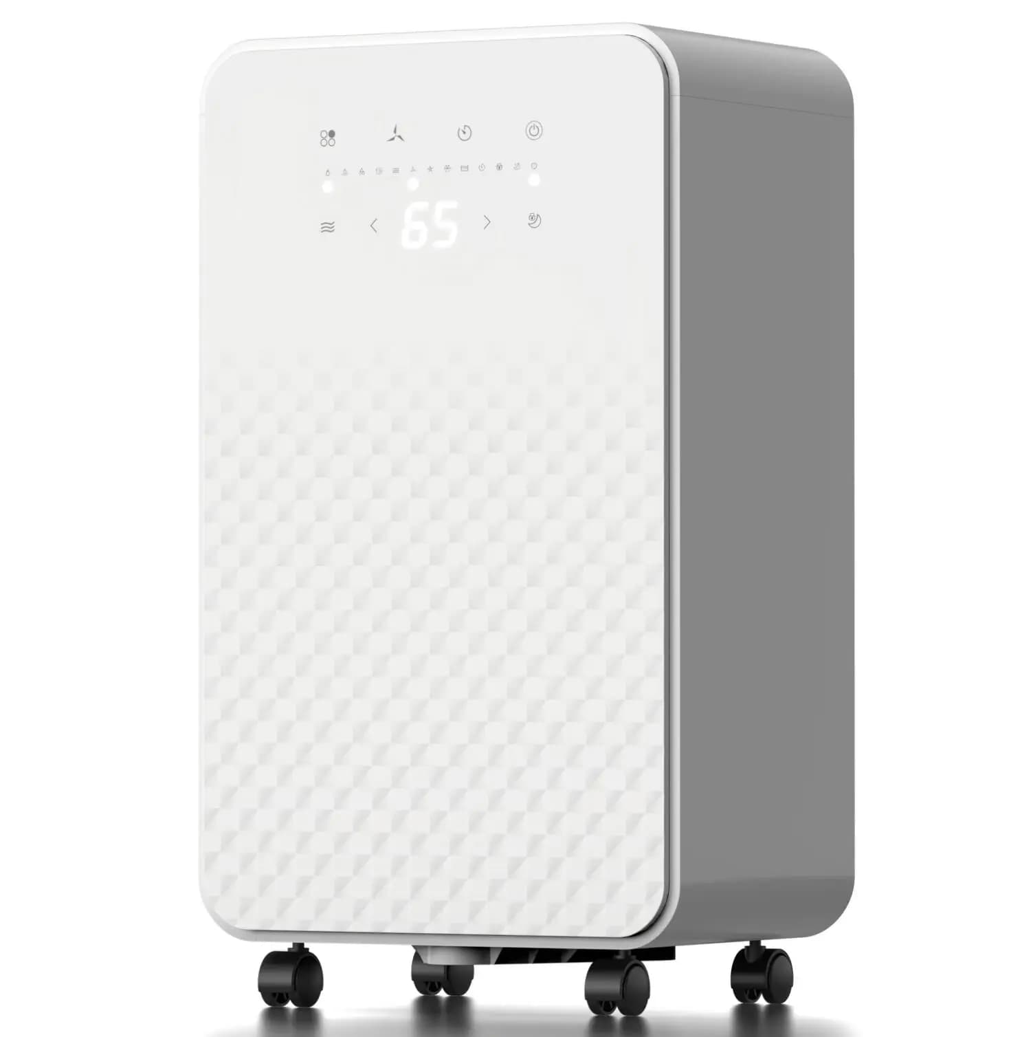 Mini deumidificatore per casa intelligente da 10 litri 12 litri/giorno con deumidificatori a compressore WiFi