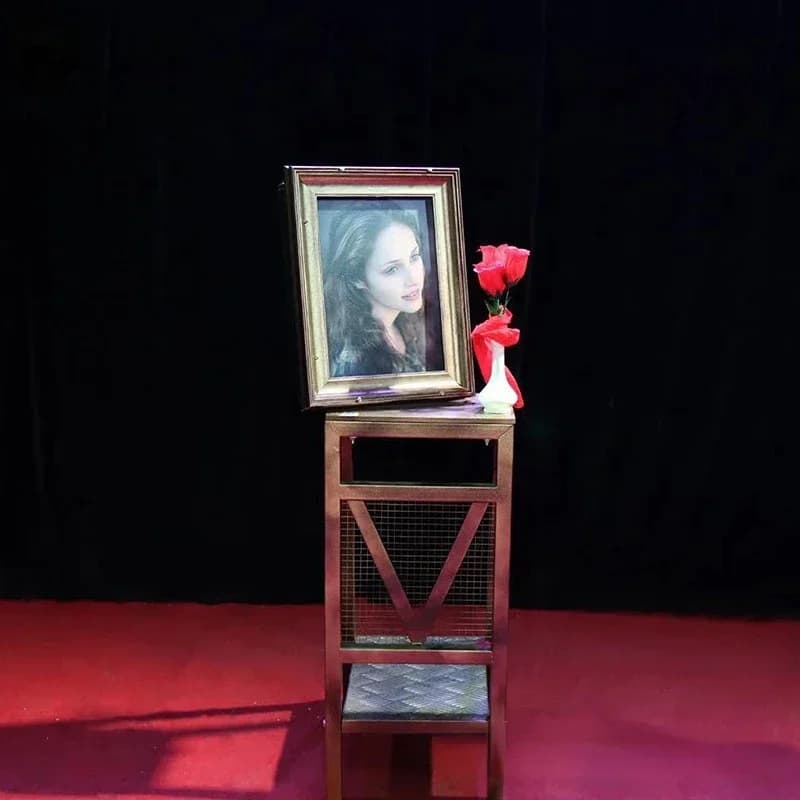 Portrait To Newspaper Magic Tricks The picture frame changes into a portrait Professional Magician Stage Illusion Gimmick Props
