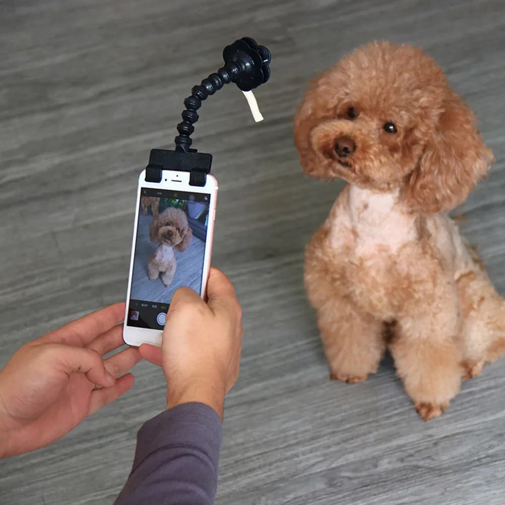 Supporto per Telefono Portatile da 14,6 cm per Foto di Animali Domestici, Piccolo e Facile da Trasportare, Senza Carica, Senza Funzione Selfie, per Cani, Gatti, Cuccioli
