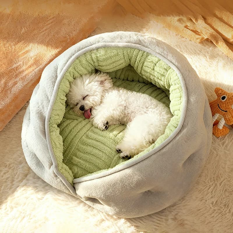 Inverno Thiened Avvolto Peluche Piccolo Cane Divano Letto Semi-chiuso Pelle-amichevole Traspirante Pet House Teddy Pomerania Accessori