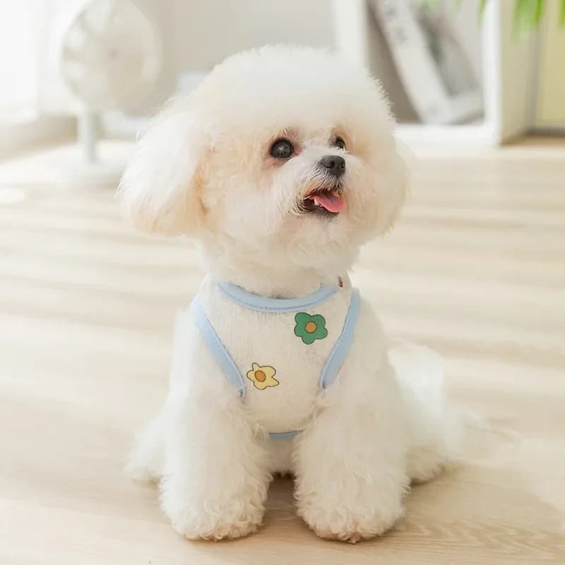 Gilet con imbracatura in rete con simpatico abbigliamento traspirante per cani con stampa all over per Bichon Teddy Pomerania per cani di piccola taglia Cappotto per cani da compagnia di tendenza