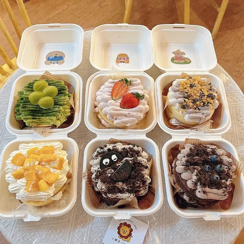 10/20 pz contenitori per alimenti Bento usa e getta biodegradabile cottura Dessert torta ciotola hamburger Snack scatole microonde ufficio Lunchbox