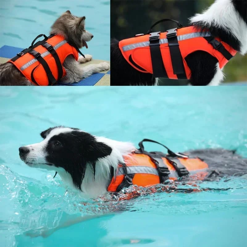 Giubbotto di salvataggio per cani Ripstop con manico di salvataggio Giubbotto di sicurezza per nuoto con galleggiamento superiore per indumenti salvavita per cani resistenti all'acqua per animali domestici