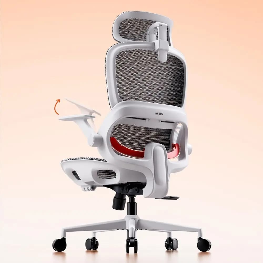 Sedia da Ufficio Ergonomica con Schienale Alto, Supporto Lombare, Seduta Larga, Braccioli Regolabili, Grigia