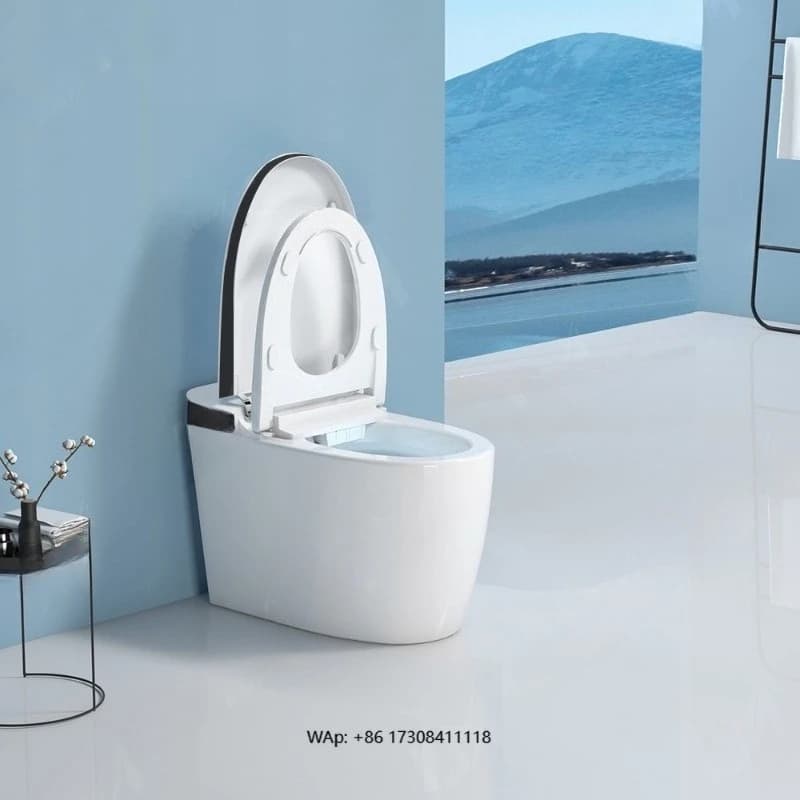 Ceramic Sanitaries, Fully Automatic WC with Integrated Siphon, Floor or Wall, Intelligent Toilet