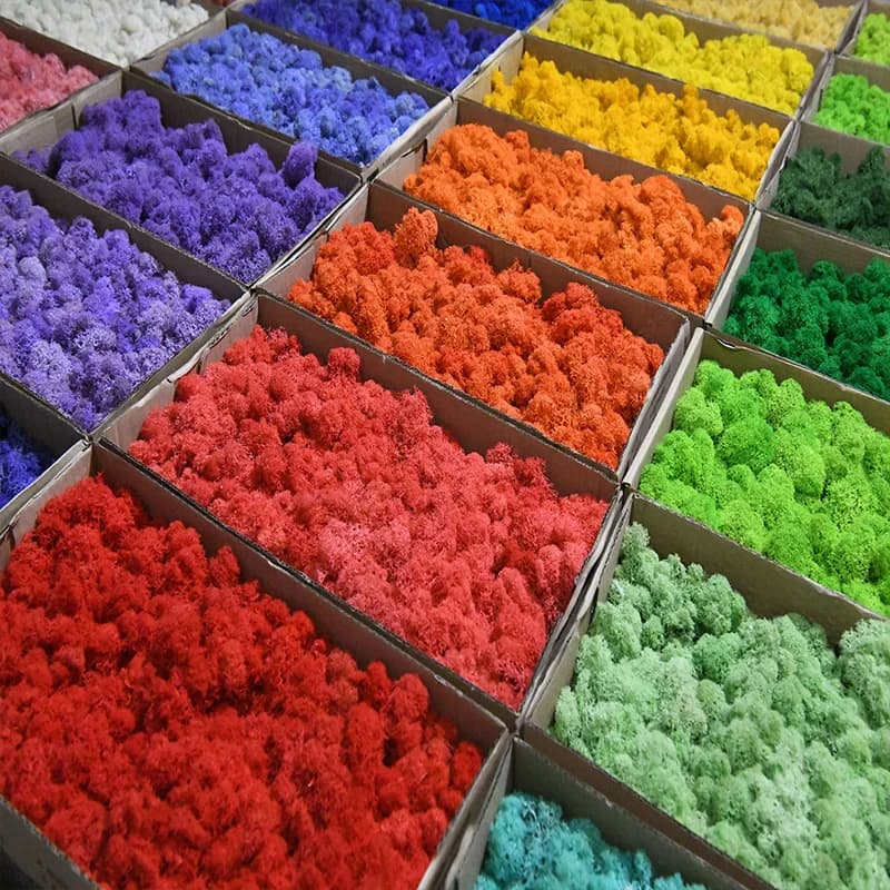 500g pianta artificiale vita eterna muschio giardino decorazione della casa parete fiore fai da te materiale Mini giardino Micro paesaggio accessori