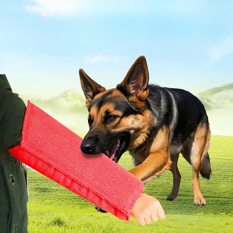 Guanto da addestramento resistente per cani, per l'allenamento di attacco e protezione, essenziale per Pastore Tedesco e Malinois
