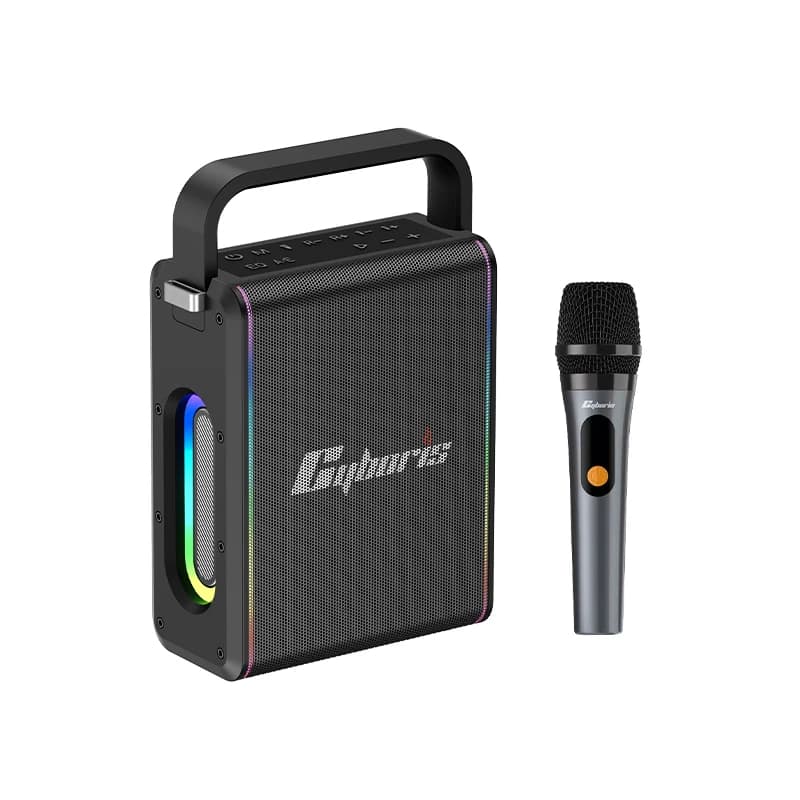 Karaoke Machine with Wireless Microphone, 80W Wireless Portable Speaker with Handle, Deep Bass, Subwoofer, RGB ,TWS, EQ, Aux