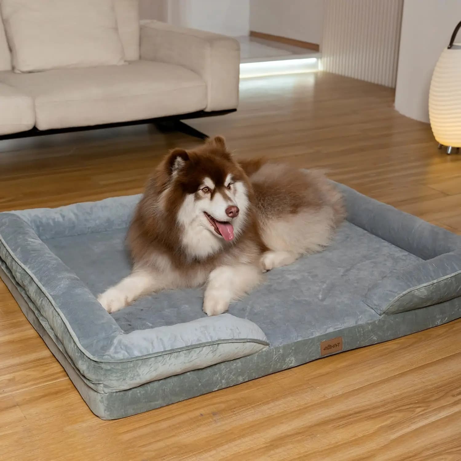 Orthopaedic Cooking for Dogs - Upper Rebound Foam, Waterproof and Urina Resistant, Washing Machine, Anti-Morso and Anti-Strap
