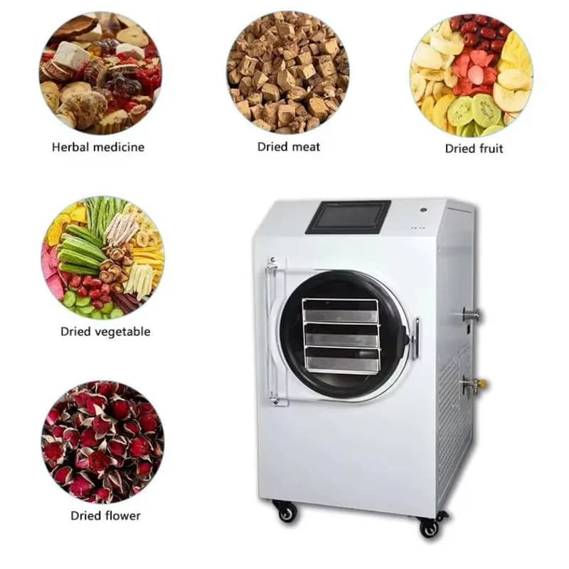 Lab Mini Lyophilizer Fruit Food Freeze Drying Machine Freeze Dried Coffee Dehydrator Vacuum Freeze Dryer Equipment For Sale