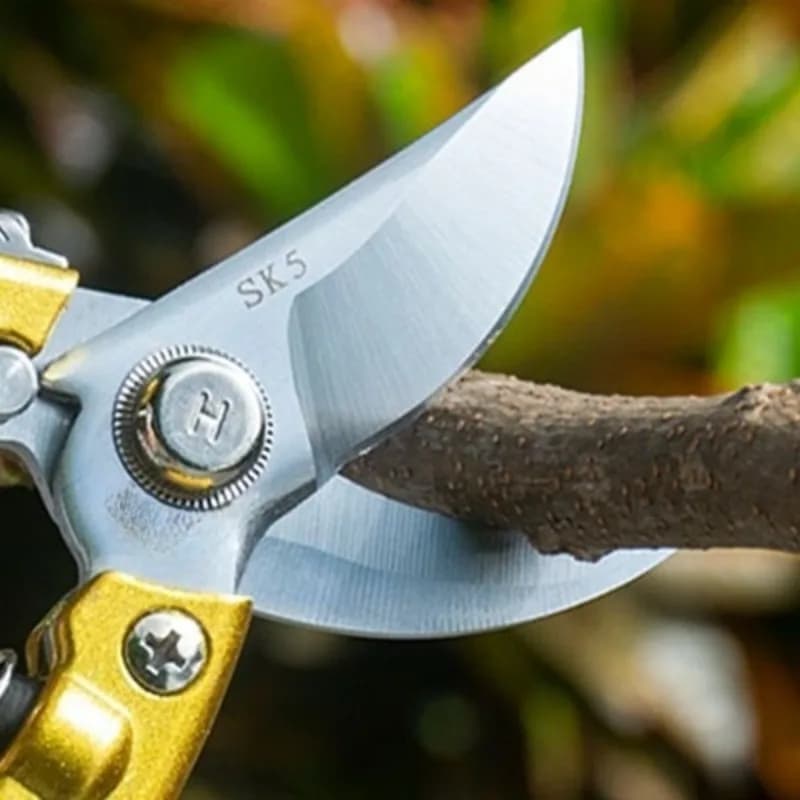 Forbici da Potatura Ergonomiche in Acciaio SK5, Cesoie da Giardino per Rami di Alberi da Frutto, Forbici Floreali, Attrezzi da Giardinaggio