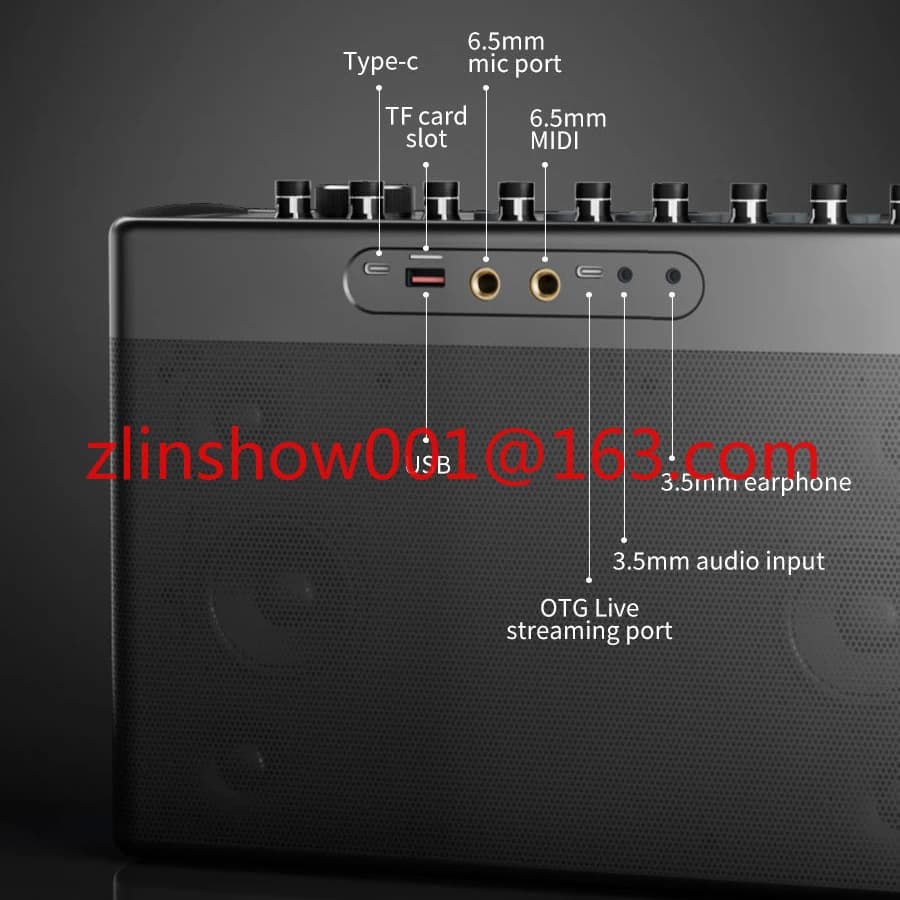 Altoparlante portatile da esterno per macchina per karaoke da 300 W con 2 microfoni wireless Supporta microfono AUX OTG dal vivo per la festa