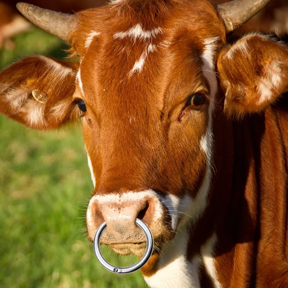 2Pcs Secure Fit Cattle Nose Ring Stainless Steel Construction Farming Accessories Cattle Nose Ring Metal Farm Tools