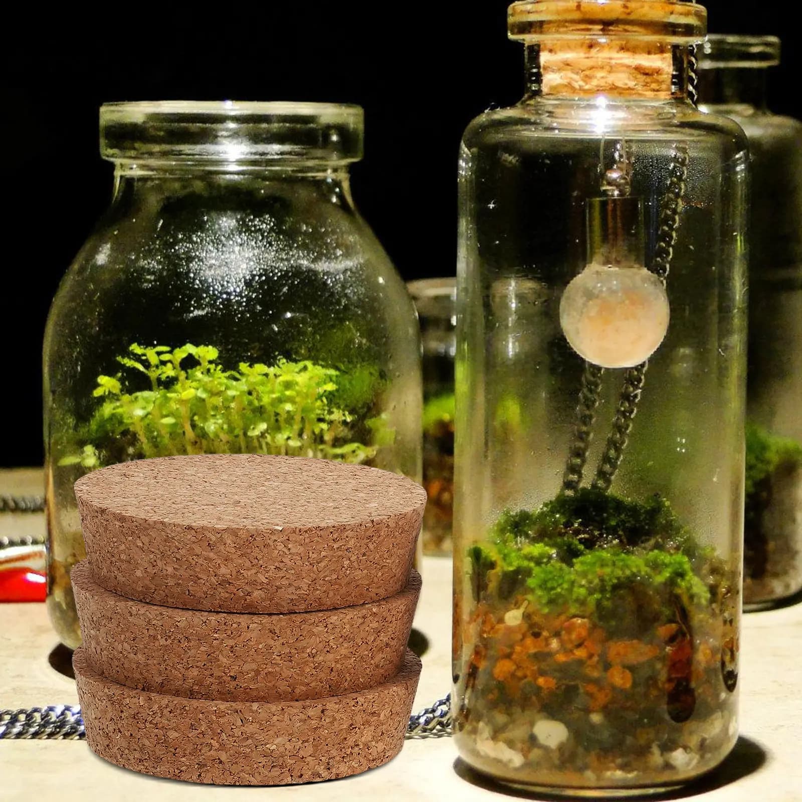 6 Pezzi Coperchi in Sughero per Vasi da Piante, Tappi per Vasi Idroponici, Tappi per Terrari in Vetro, Tappi per Barattoli da Conservazione per Vasi di Fiori 80x20x73mm