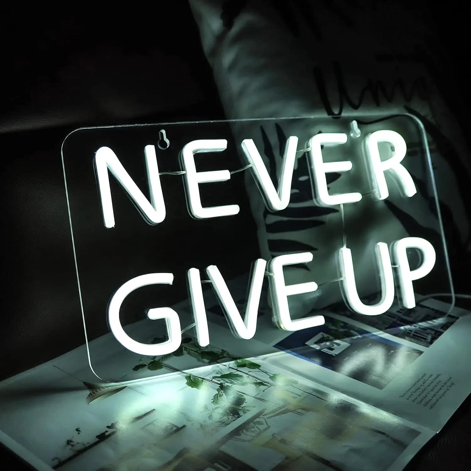 Never Give Up Insegna al neon 5V USB Dimmerabile LED Luce al neon per sala studio Decorazione domestica Illuminazione da parete Compleanno Regalo di Natale