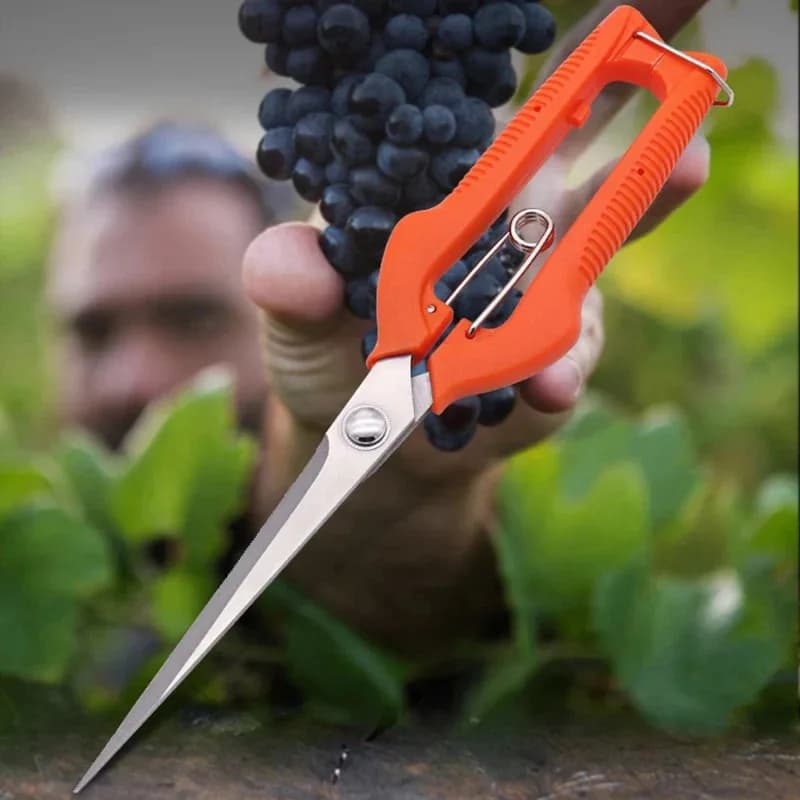 Uva Power Scissors, Garden Tools for Vegetables and Bonsai, Stainless Steel Professionals for Fruit Harvest with Safety Block