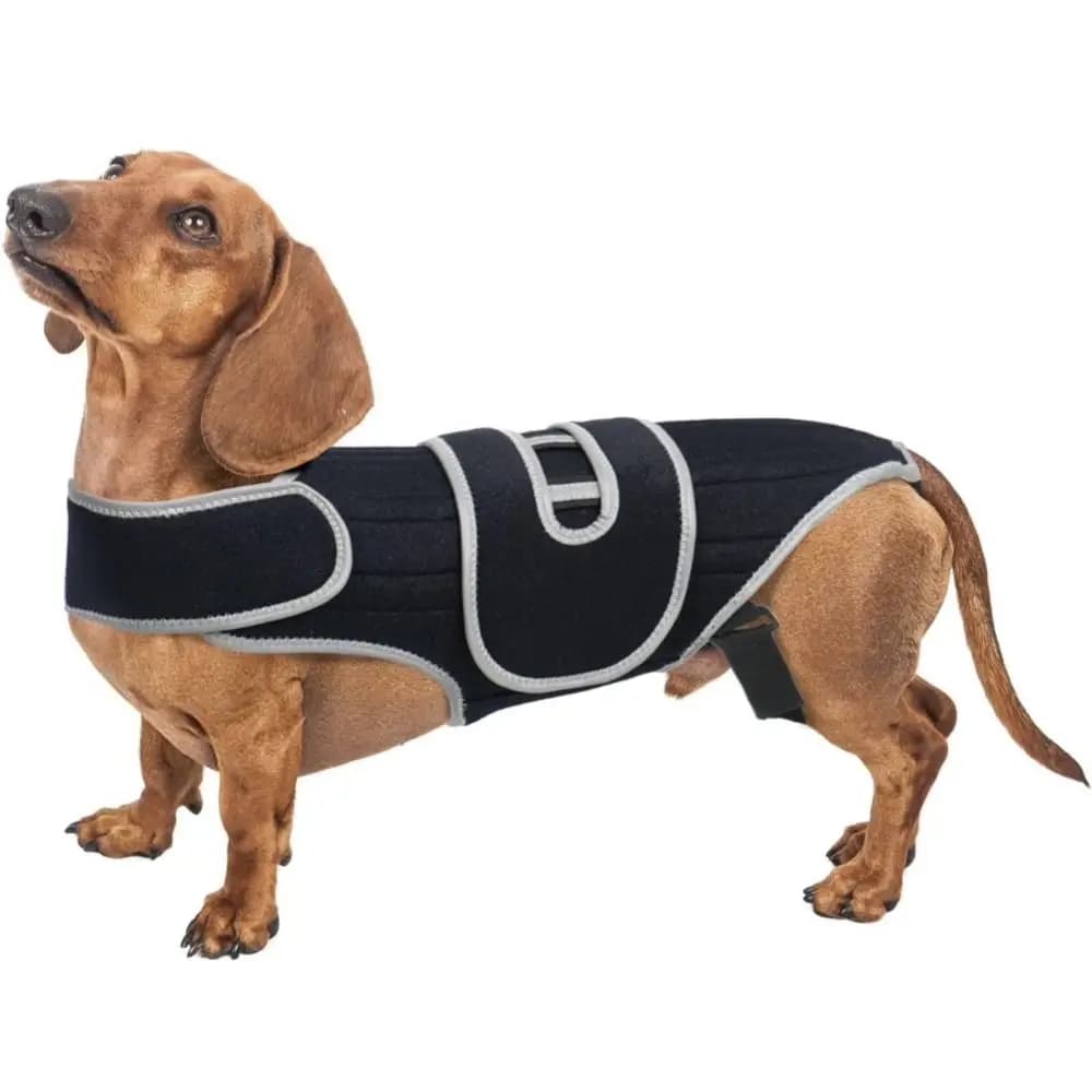 Adjustable Dog Back Brace Breathable Reflective Straps Pet Spinal Brace Vest Comfortable Spinal Stability Dog Support Harness