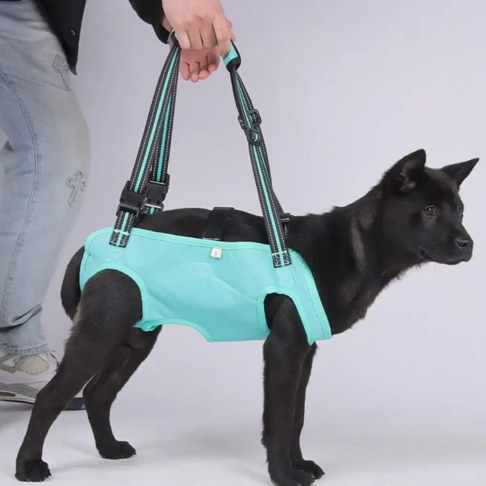 Imbracatura di Sollevamento per Cani con Cinghia Regolabile, Maniglia Rinforzata, Supporto per Zampe, Trasportino a Fionda Portatile con Fodera Morbida, Gilet di Sollevamento per Animali Anziani