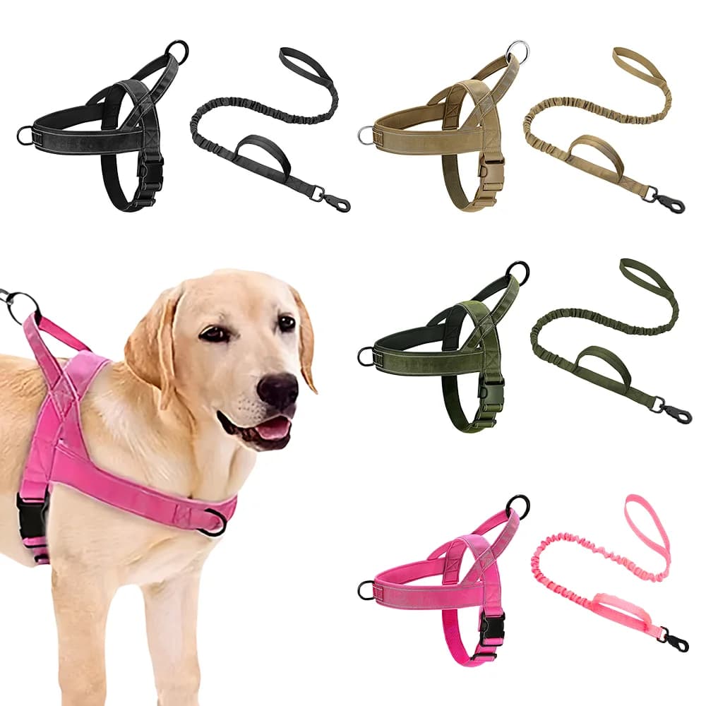 Set di guinzaglio e pettorina per cani, design traspirante con strisce riflettenti notturne, comoda pettorina a gilet per cani, 1 set
