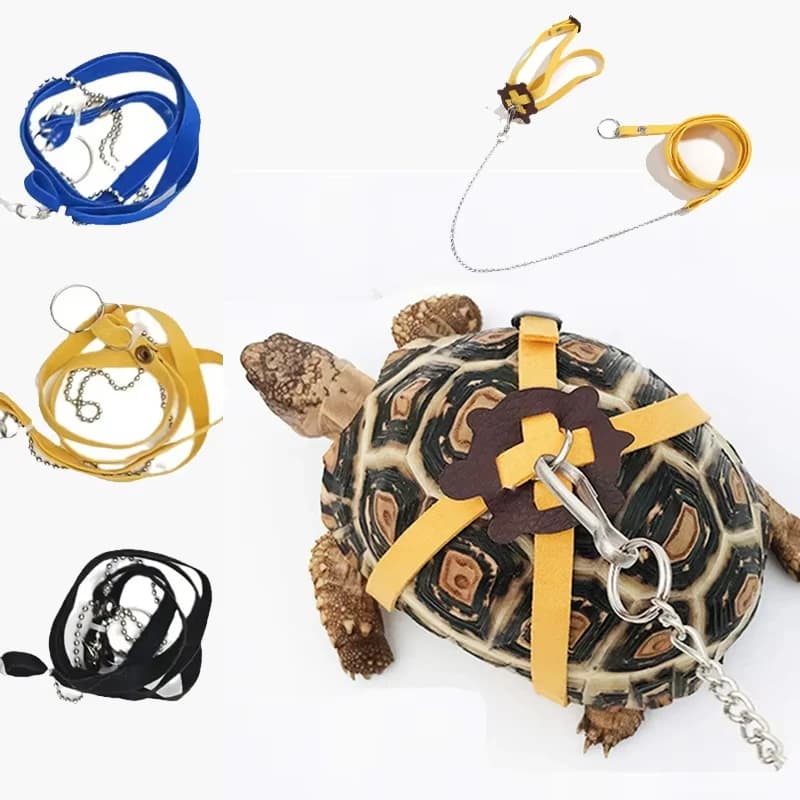 Turtle Traction Belt Control Rope Training Belt Outdoor Walking Leash Harness Reptile Leash Pet Supplies PU Leather