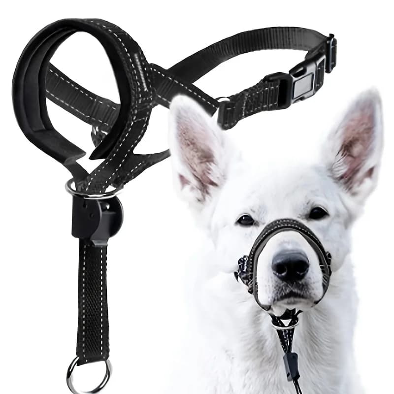 Dog Museruola, Dog Sand, Dog Guinzaglio, Dog Trawl, Dog Walk Accessories, Dog Breathable Cover
