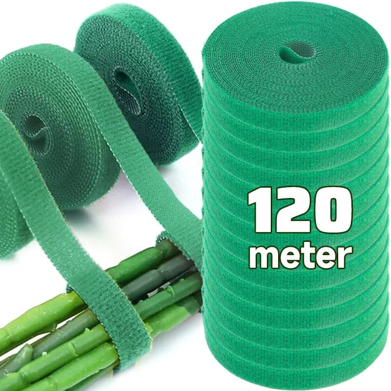 Fascetta autoadesiva per piante Piante in nylon regolabili Supporto per gancio per cavo Fasciatura per spago da giardino Fissaggio riutilizzabile Strisce di nastro verde