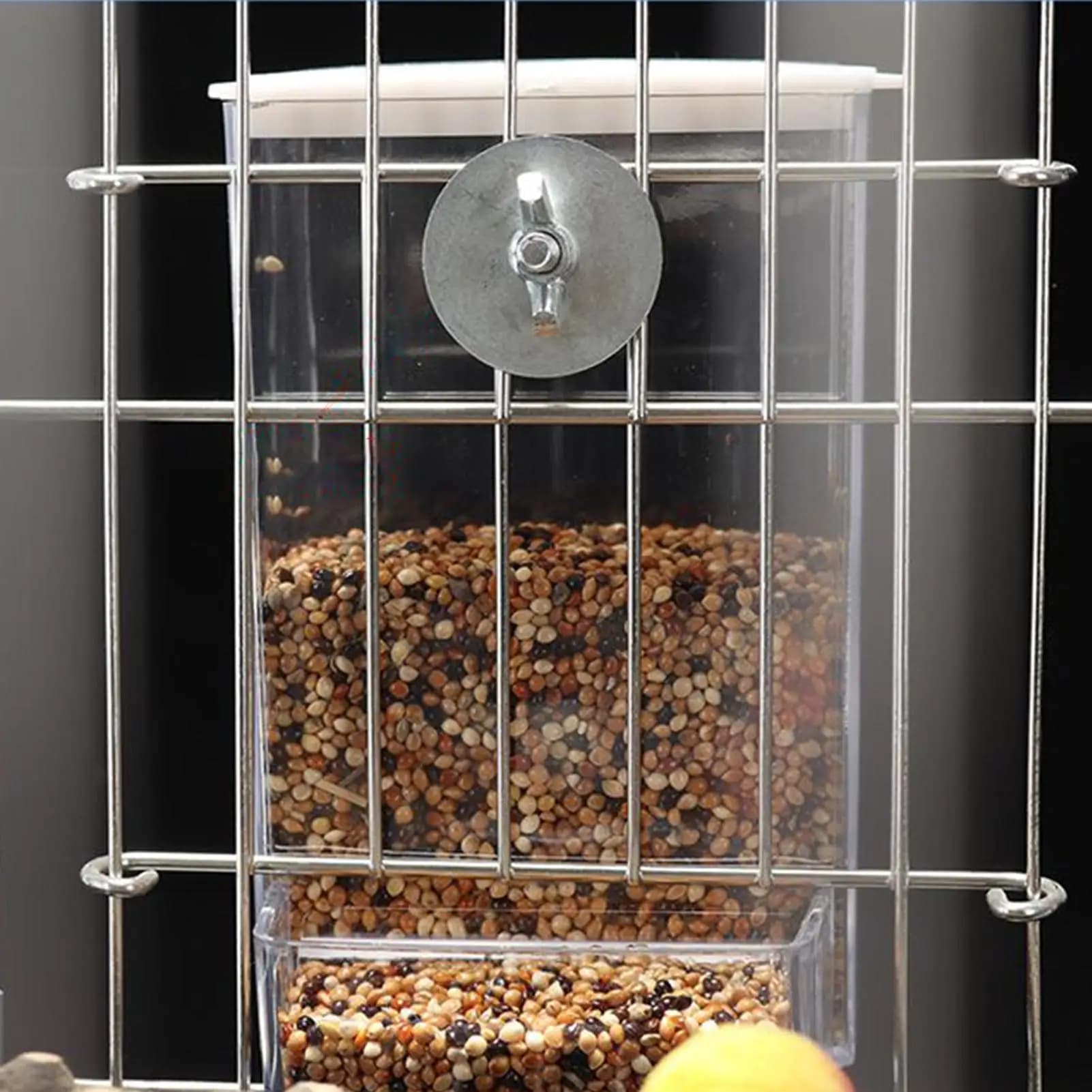 Mangiatoia per uccelli da esterno Mangiatoia per uccelli automatica con ricarica automatica Contenitore per alimenti trasparente staccabile per pollo da giardino con pappagalli da ponte