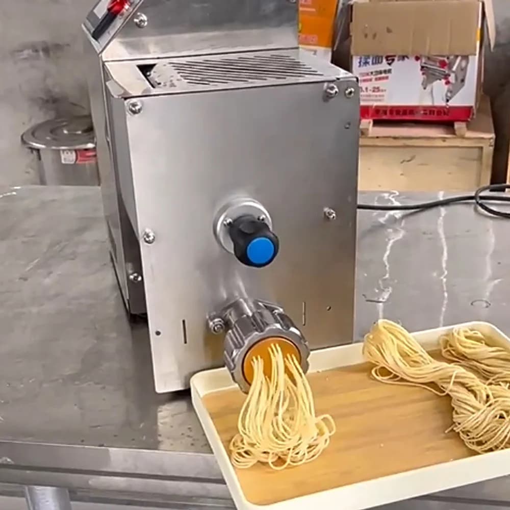 Macchina per la produzione di noodle per spaghetti in acciaio inossidabile Macchina per pasta elettrica per estrusore di macaroni