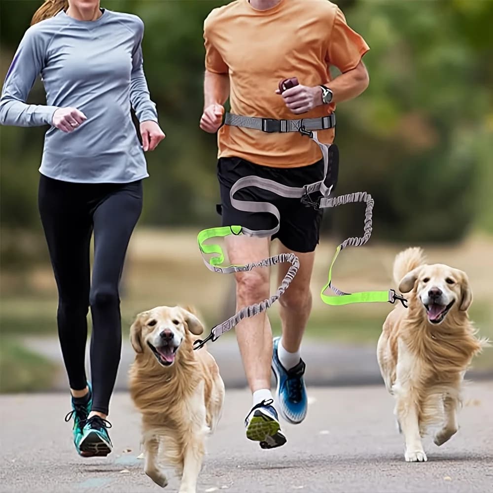 Guinzaglio Doppio per Cani, Rotazione a 360 Gradi Senza Grovigli, Guinzaglio per Addestramento e Passeggio, Confortevole, Ammortizzante, Riflettente ed Elastico