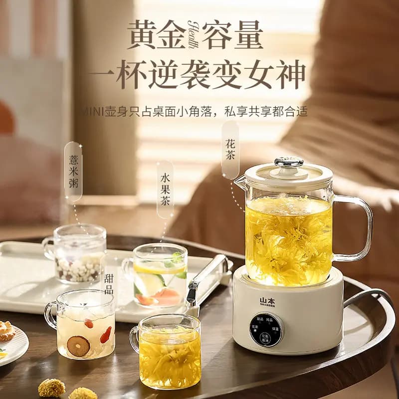 Health pot Household multi-functional thermal insulation tea maker Small electric teapot Glass office kettle