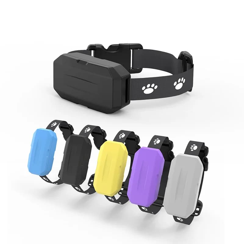 Collare GPS per Cani con Ricarica USB STLFWholesale