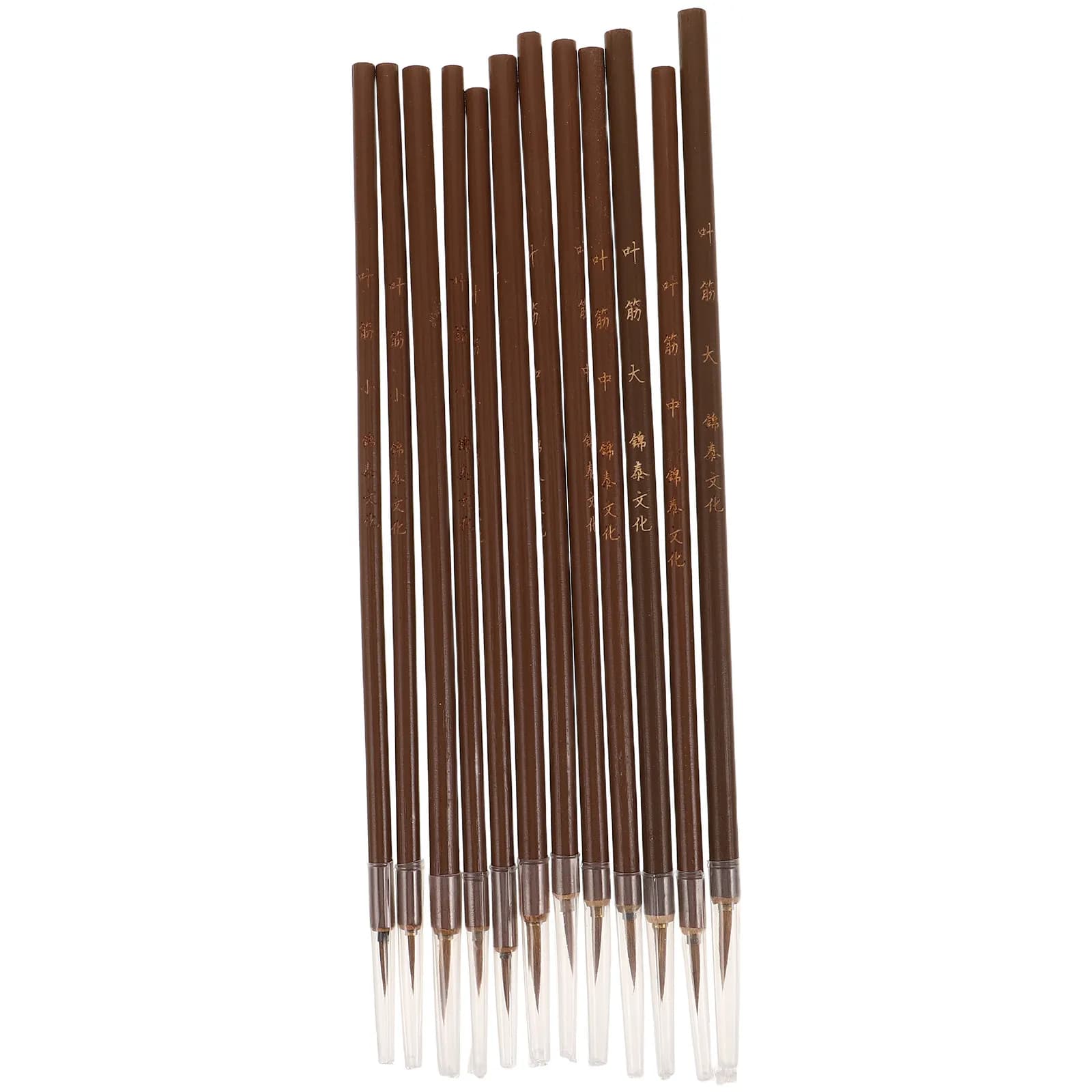 1Set Chinese Calligraphy Brush Traditional Watercolor Brush Set Long Handle for Painting Writing Ink Drawing Tool