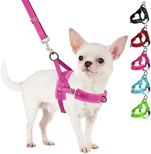 Imbracatura regolabile per cani di piccola taglia con gilet riflettente, perfetta attrezzatura di sicurezza per animali domestici.