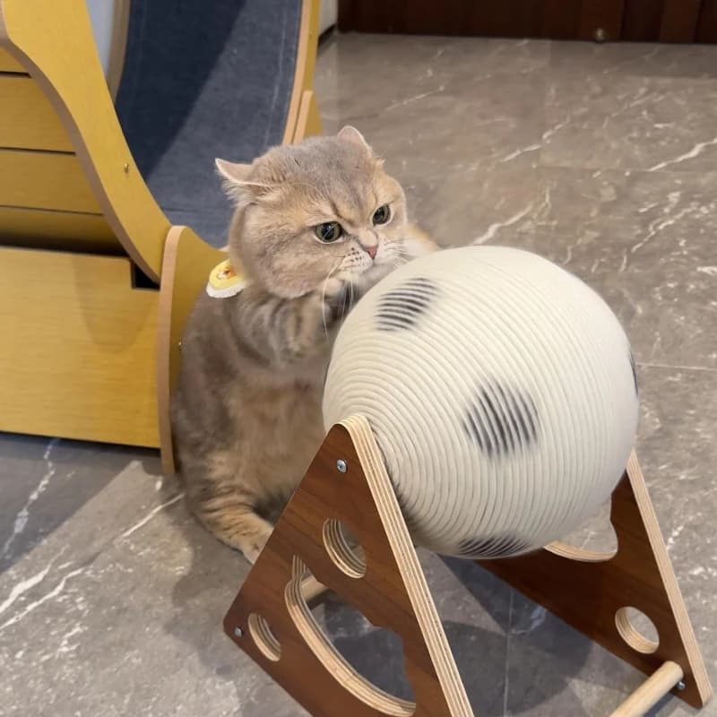 Giocattolo per gatti, tappetino antigraffio, palla in canapa resistente all'usura, colonna antigraffio per gatti, struttura per affilare le zampe, struttura per arrampicarsi per gatti