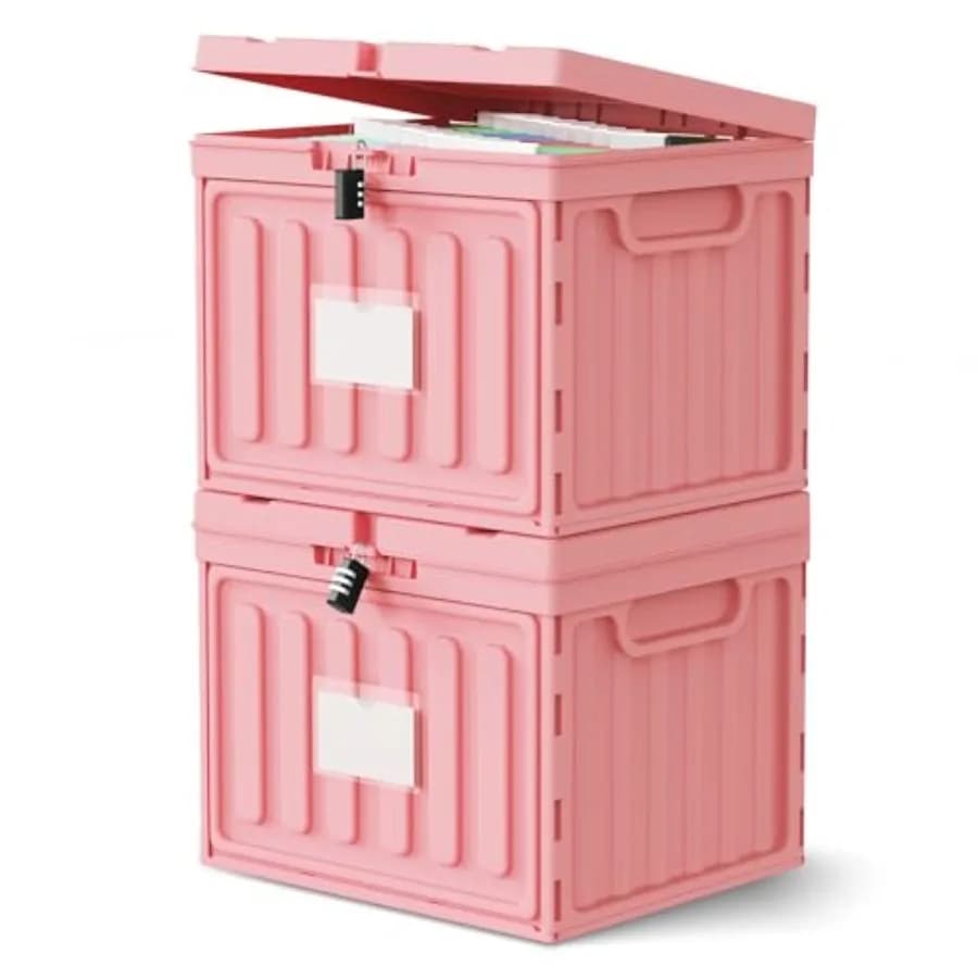 Scatola Portadocumenti in Plastica con Coperchio per Cartelle Sospese Formato Letter, Contenitore per Cartelle Sospese per Casa, Ufficio, Scuola, Armadietto