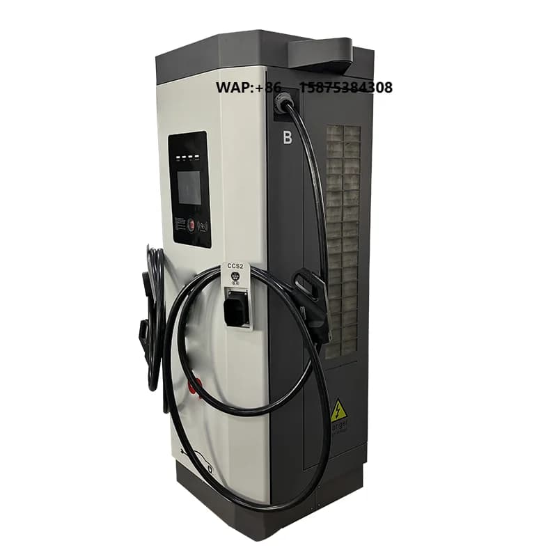 Stazione di Ricarica EV Commerciale Ruitang da 80KW DC, Livello 2, Doppia CCS, Montaggio a Pavimento, IP54, Prezzo all'Ingrosso di Fabbrica