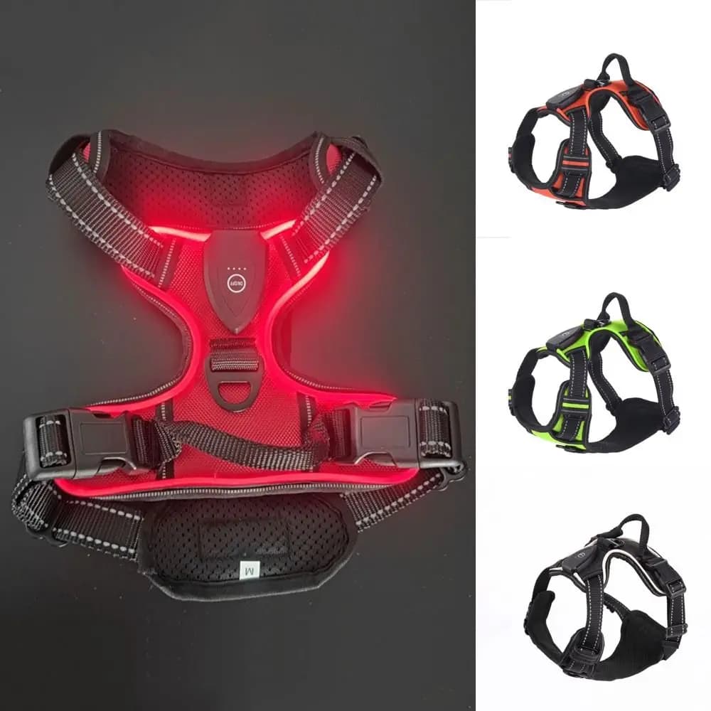 Pettorina per Cani LED Luminosa e Resistente, Regolabile, Lampeggiante, Morbida, Ricaricabile, Gilet Luminoso per Cani e Gatti