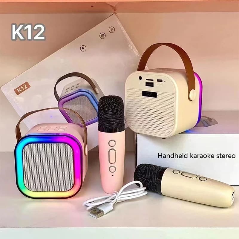 K12 Karaoke Machine Portable Bluetooth 5.3 PA Speaker System con 1-2 microfoni Wireless Home Family Singing regali per bambini