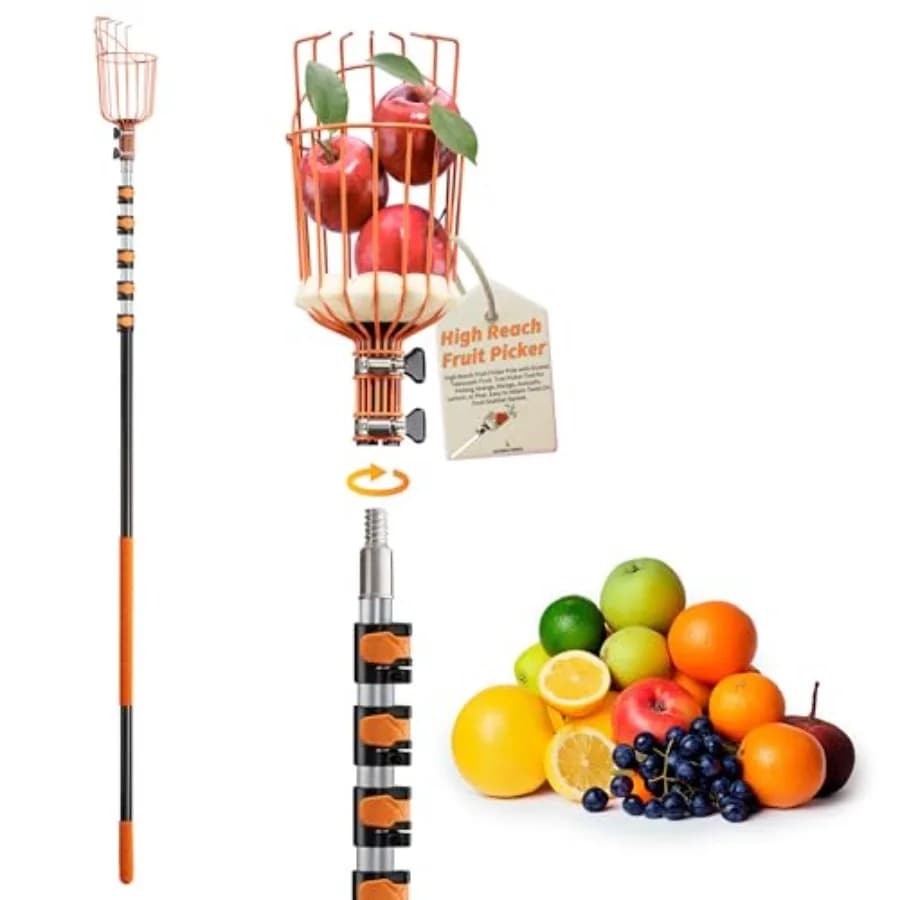 Telescoping Fruit Picker Pole with Basket 5-24 ft for Apple Orange Mango Avocado Lemon Pear// High-Reach Extension Tool in Silv