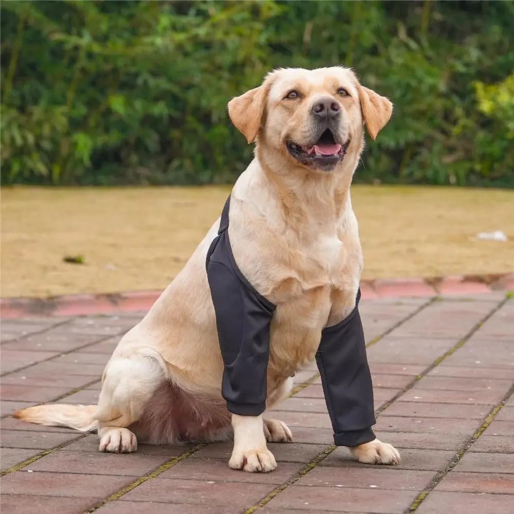 Pratico modello di cartone animato Manicotti per gomiti per cani Morbido cotone Protezione per gomiti per cani Supporto per spalla Ginocchiere per animali domestici per tutore per gomito