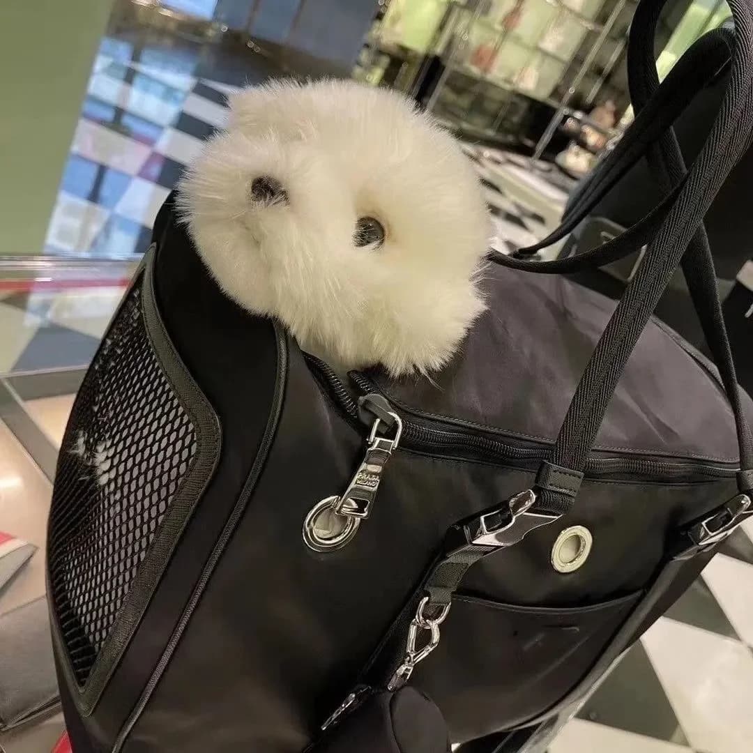 -Zaino per animali domestici Borsa da viaggio classica di lusso per cani e gatti nera