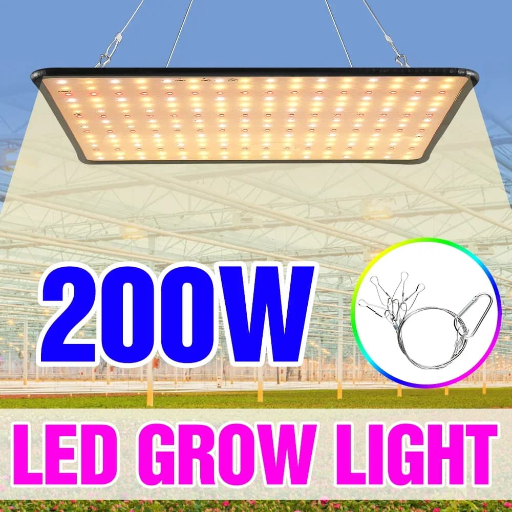 200W LED Complete Spectro Coltiva The Lights Quantum Board Hydroponic Lamp USA/EU For Interior Flower Serra Seme Fiore Verdure