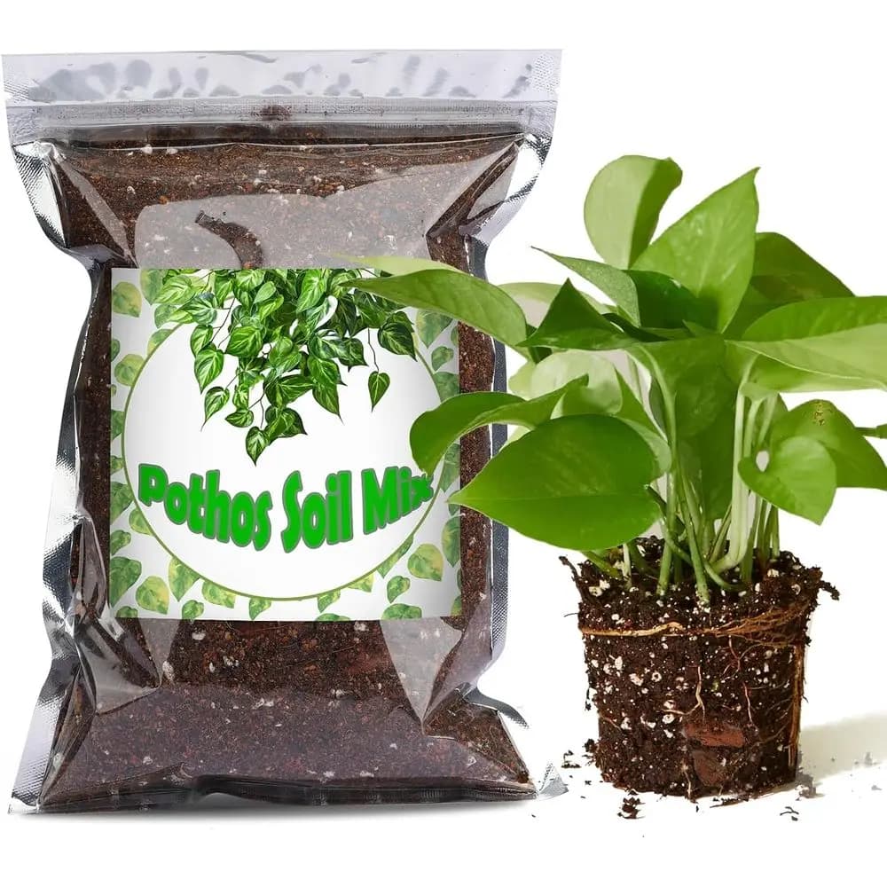 Organic Soil Mix 1qt, Indoor Plants Potting Mix for All Potted Pothos, Grow Houseplants Indoors