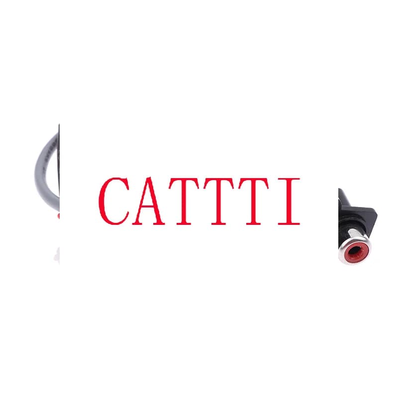 Cavo audio da 30 cm, 2 RCA a XH2.54MM-3PIN, interfaccia di ingresso audio estesa per pannello amplificatore