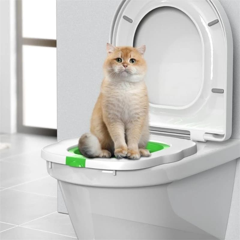 E06B Lettiera staccabile addestramento per per gatti Vassoio per sedili per addestramento animali domestici