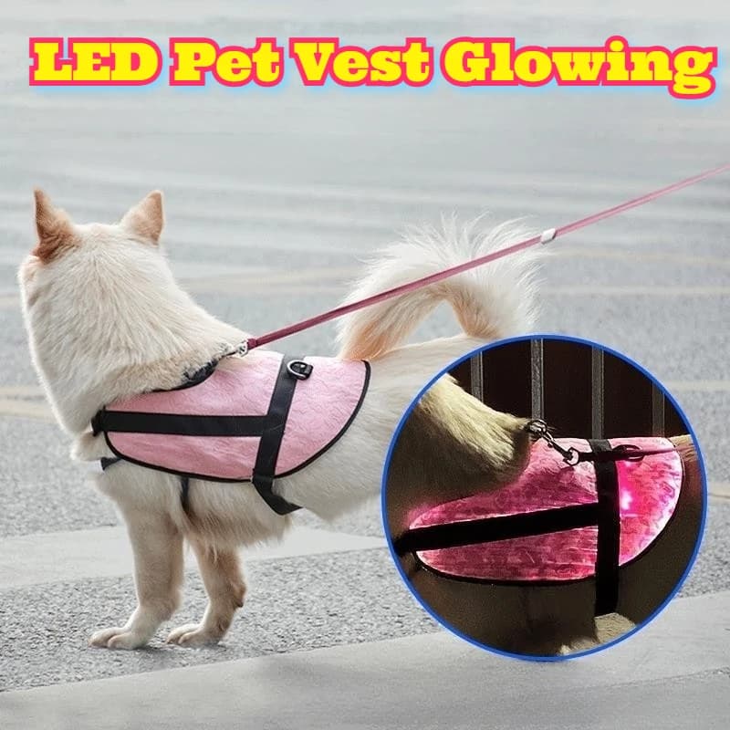 Gilet per animali domestici a LED Vestiti per cani luminosi Sicurezza per gatti Imbracatura illuminata Abbigliamento da passeggio notturno Striscia riflettente Cucciolo Gattino Cucciolo Personalizzabile