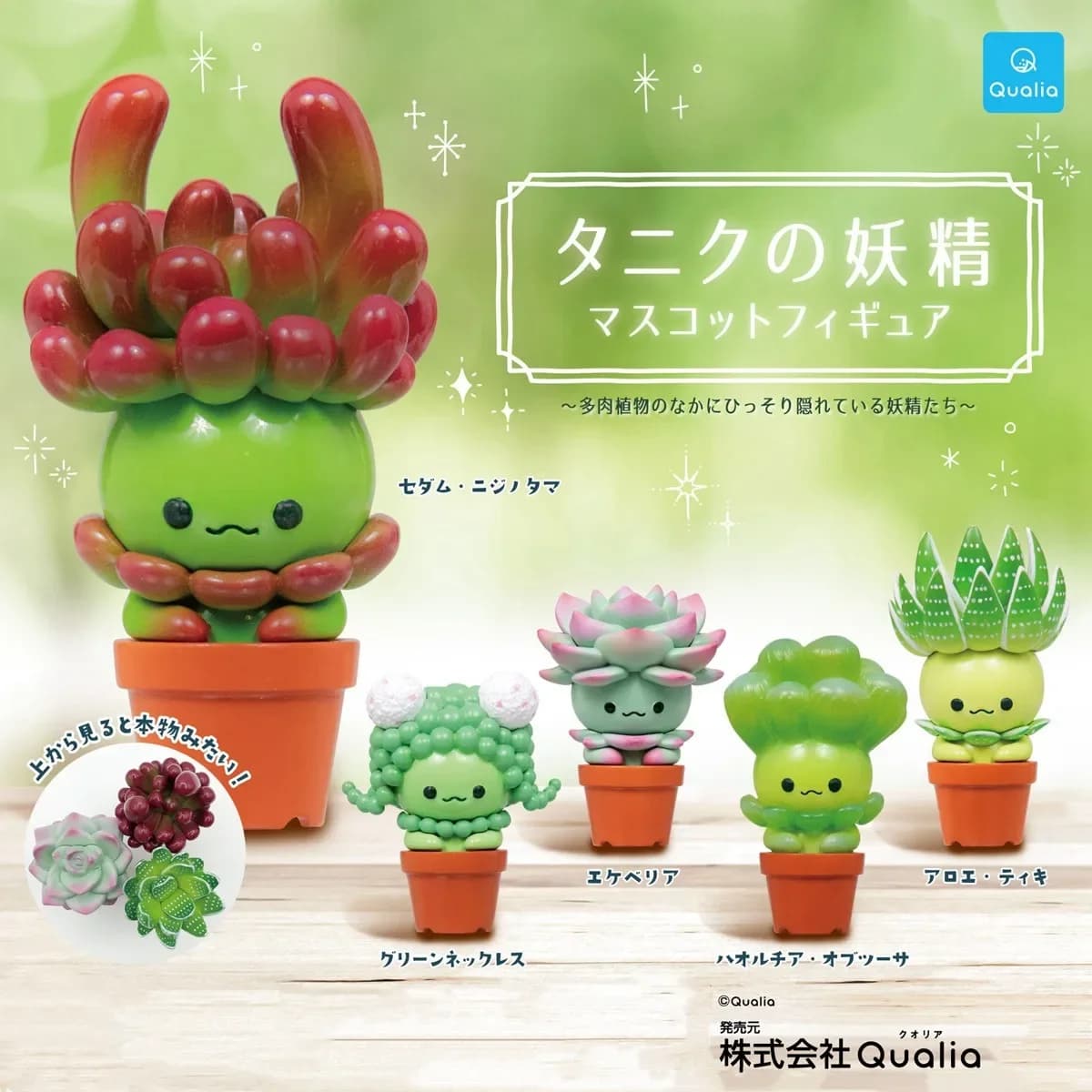 Original QUALIA Kawaii Gashapon Figure Cute Succulent Plants Elf Miniature Pot Cactus Capsule Toys Anime Figurine Doll Gift