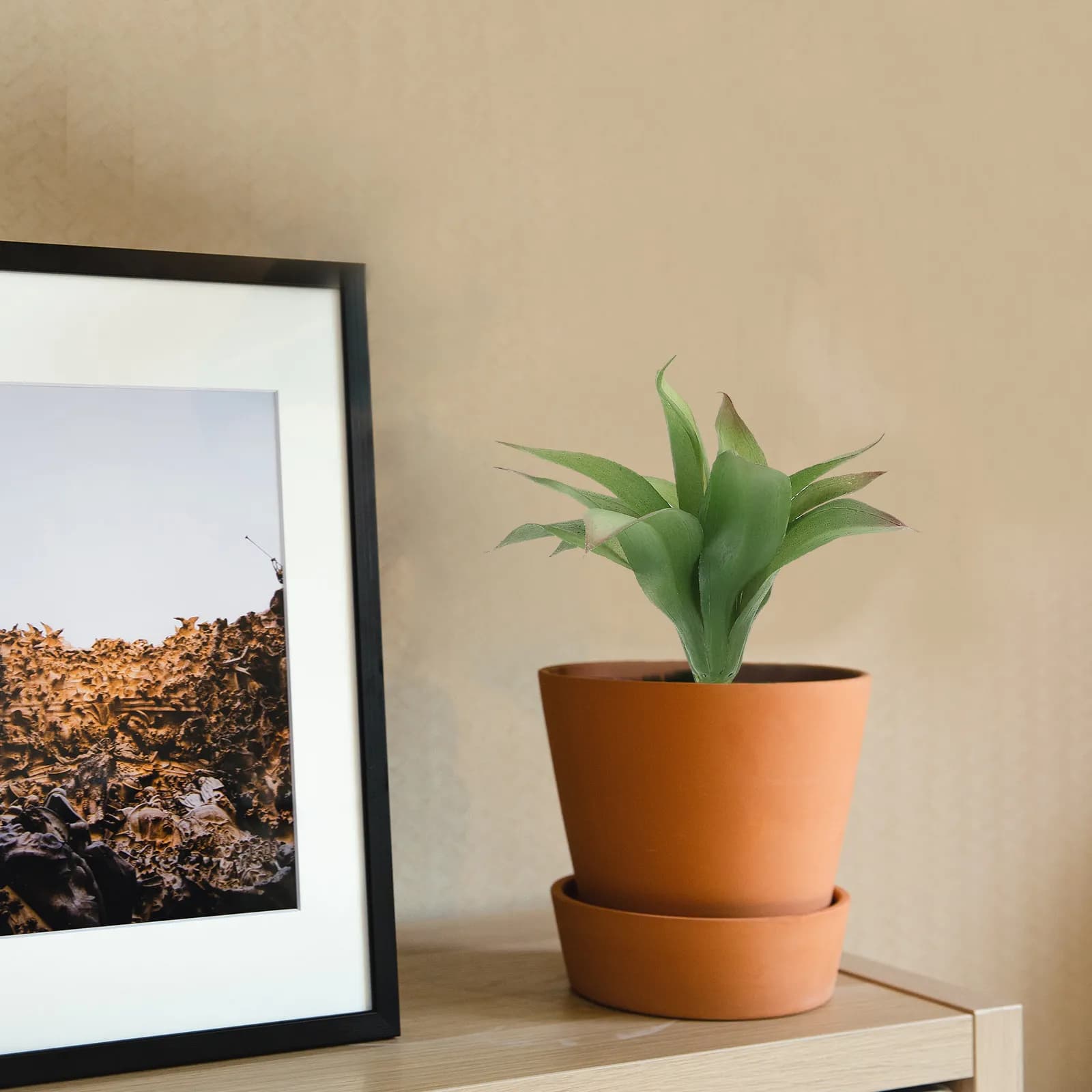 2 Pezzi di Piante Succulente Artificiali Realistiche in Plastica per Decorazione di Scrivania, Tavolino, Mobile, Finestra, Cucina in Stile Rustico