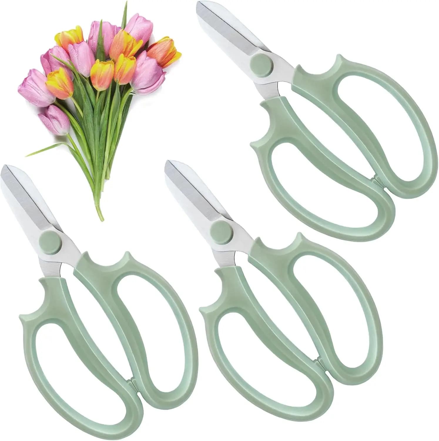 Set di 3 Forbici da Giardinaggio Premium in Acciaio Inox, Cesoie per Fiori e Raccolta Frutta