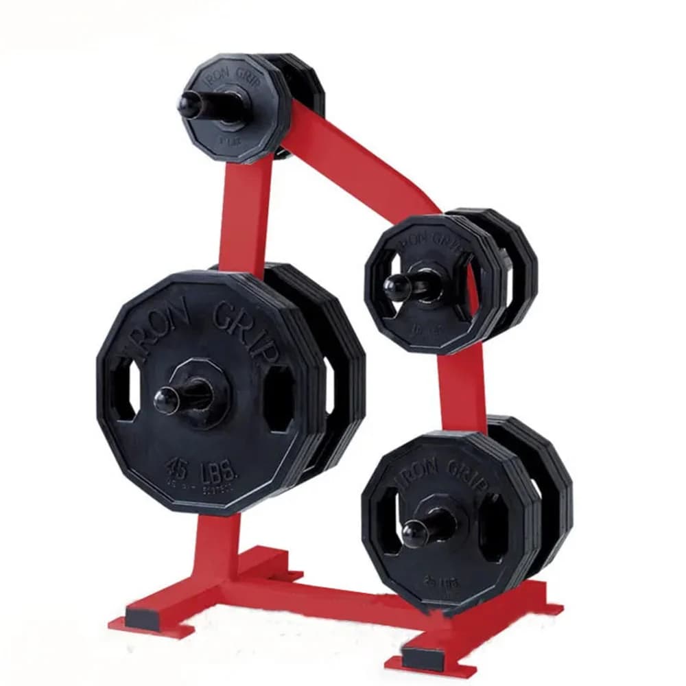Stackable Gym Weight Organizing Equipment for Rack with Steel Barbell Plate